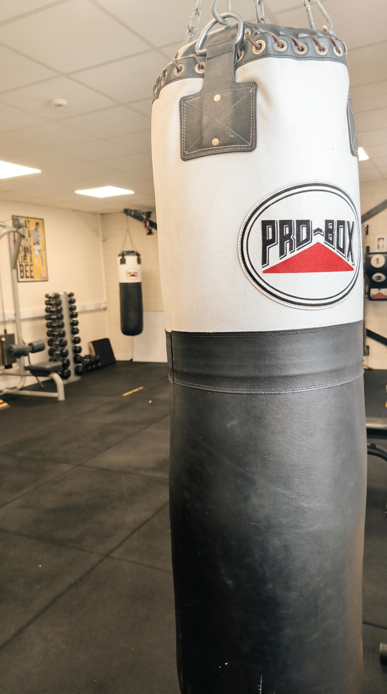 Air bikes, wall balls and plyo boxes in the conditioning zone at STR3NGTH