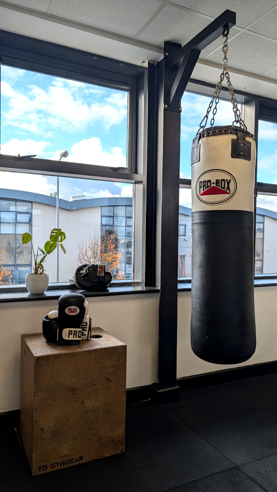 Pro-Box punch bag, boxing gloves and pads by the window at STR3NGTH Airside, Swords