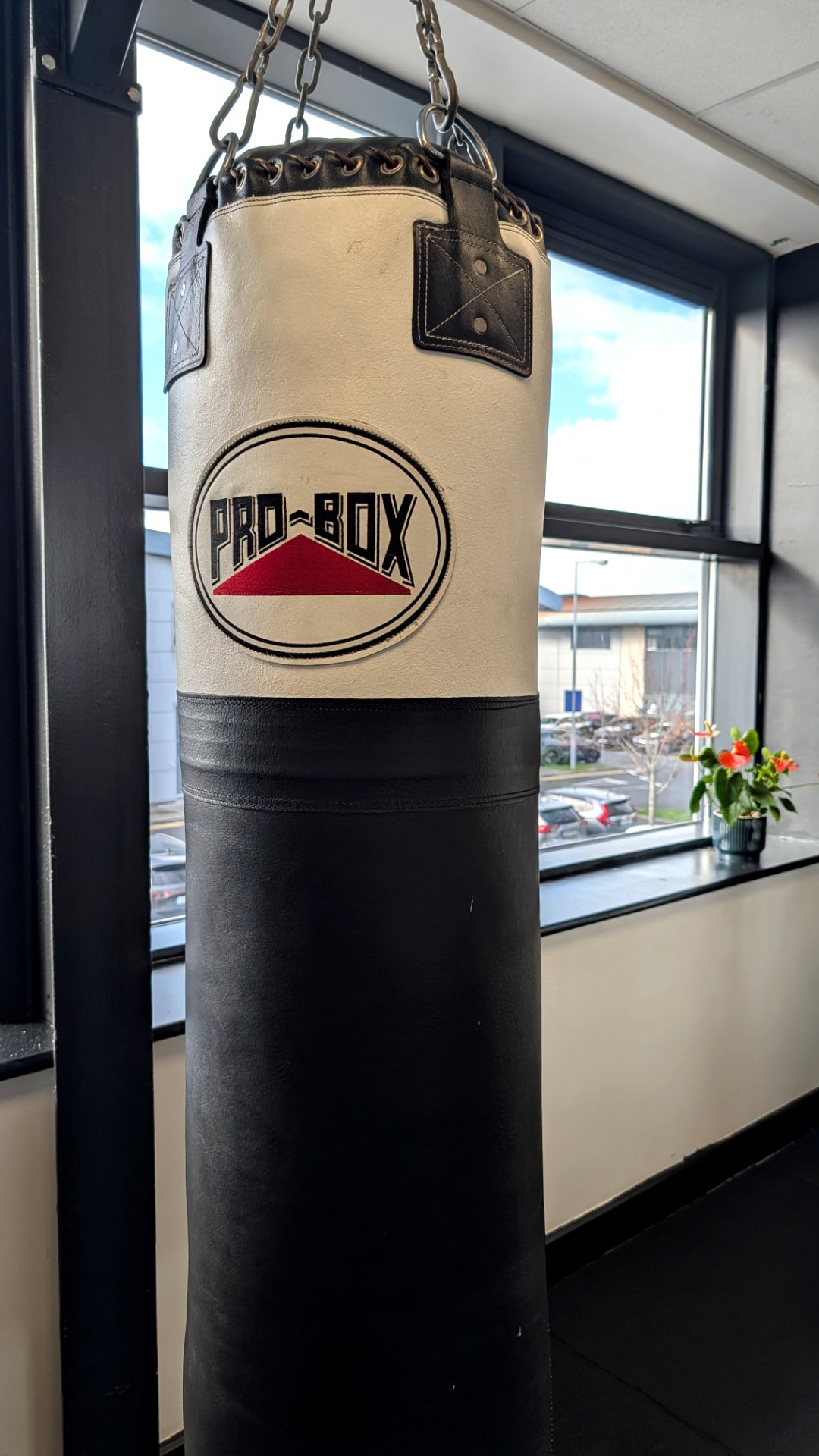 Pro-Box heavy bag hanging in front of the studio window at STR3NGTH Airside, Swords